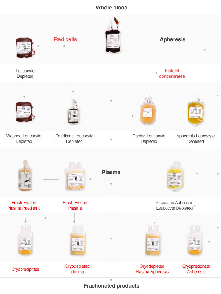  - ARCBS-Flowchart_R1.2