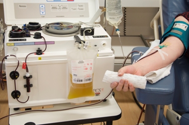 collection blood apheresis plasma machine donation transfusion